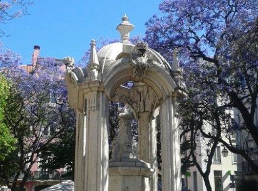 Chiado Gourmet - photo 7